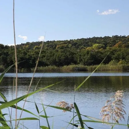 New Ernst 1 בית נופש